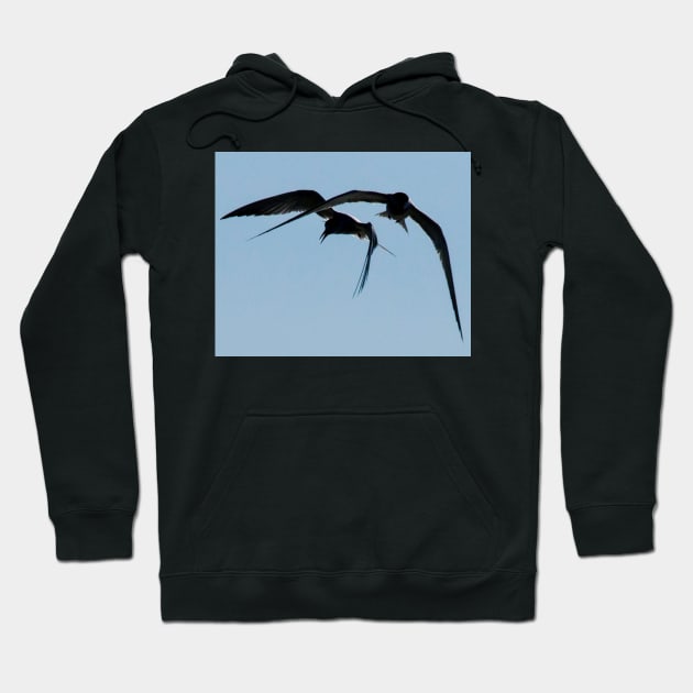 Gulls at Play Hoodie by fparisi753